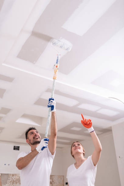 Mold Remediation for Rental Properties in Mission, KS