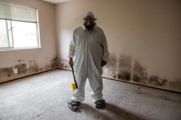 Best Real Estate Mold Inspection  in Mission, KS